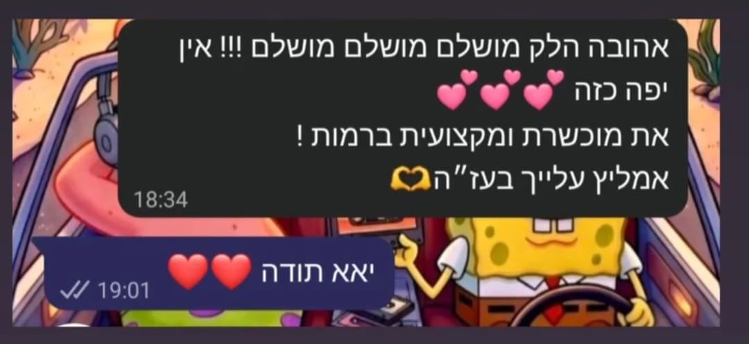 צילום מסך המלצה בוואטסאפ